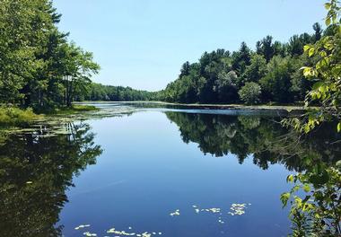 Amenities/Recreational Activities