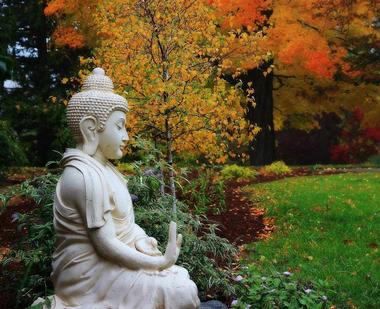 Meditation Sessions