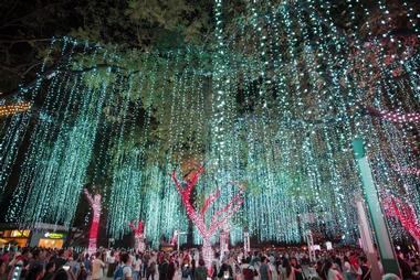 Ayala Triangle Gardens