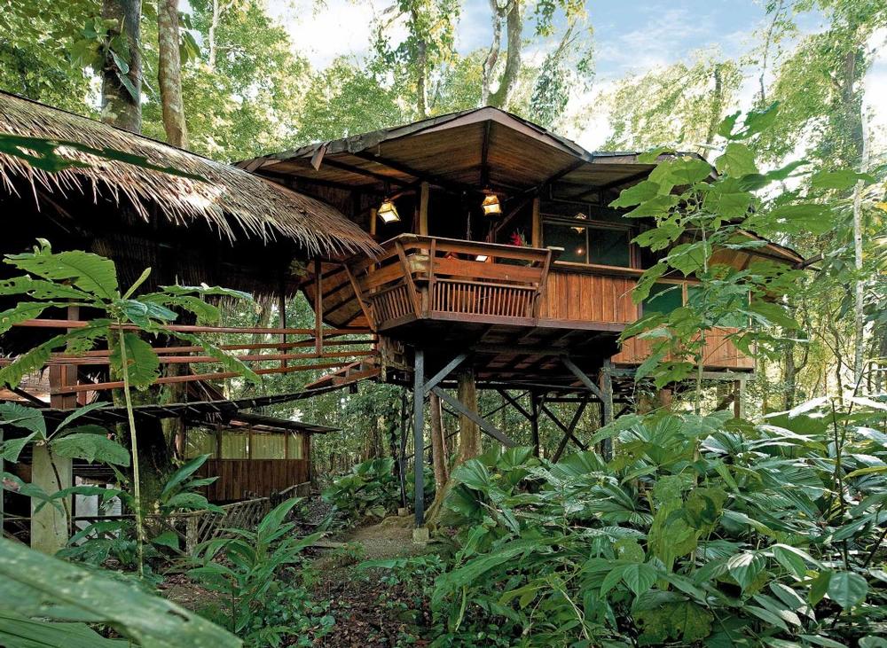 If You Love Jungle Adventures and Beach Access, \Stay at Tree House Lodge, Costa Rica