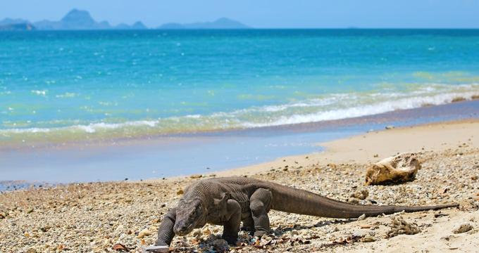 Komodo National Park