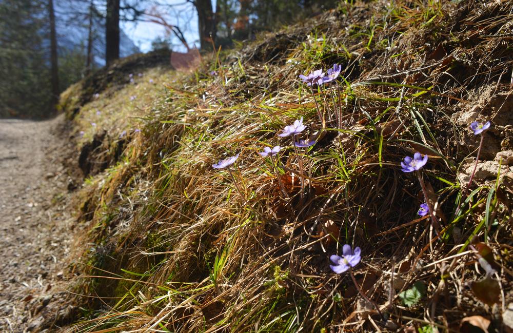 Hike Through History from Chester Gap to Harpers Ferry