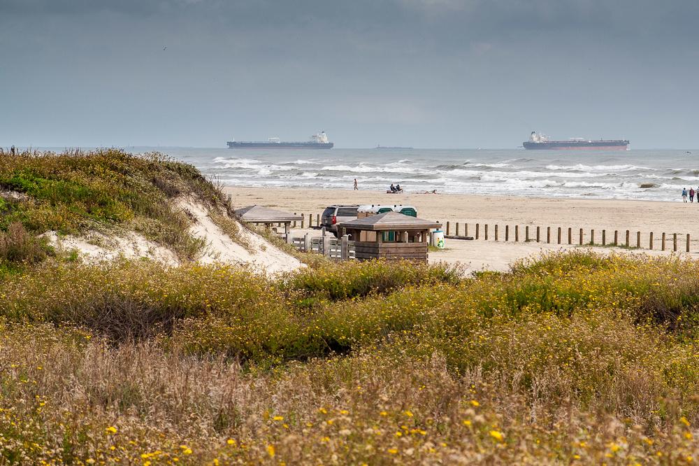 Listen to music and watch dolphins in Port Aransas