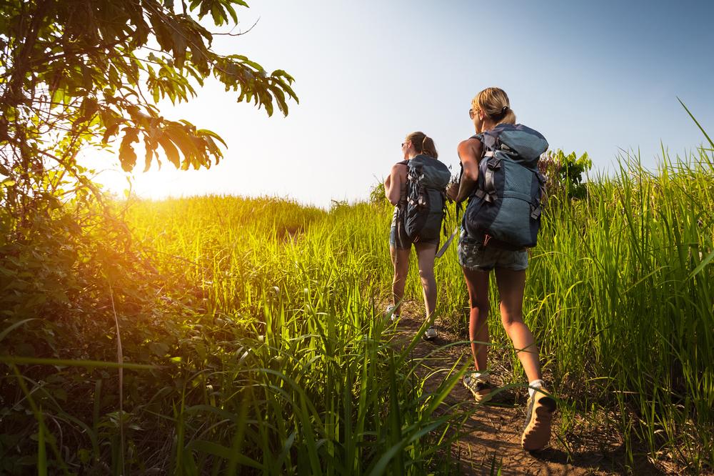 Find Peace at the Peak on Cole Mountain