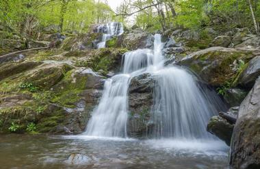 Dark Hollow Falls and Rose River Falls