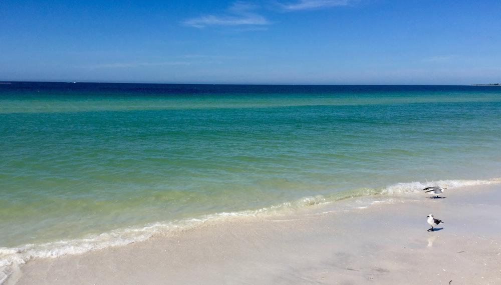 Unplug, Paddle, Repeat: Caladesi Island Escapes