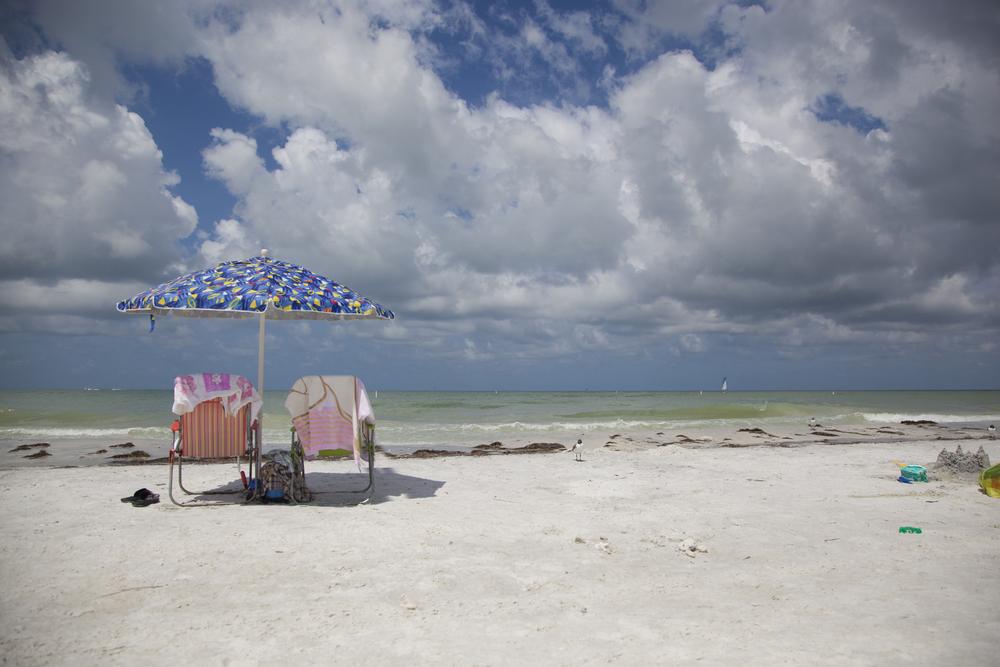 Find Your Bliss Where Nature Marries the Sea: Honeymoon Island