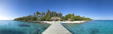 Paradise Island and the Mangroves