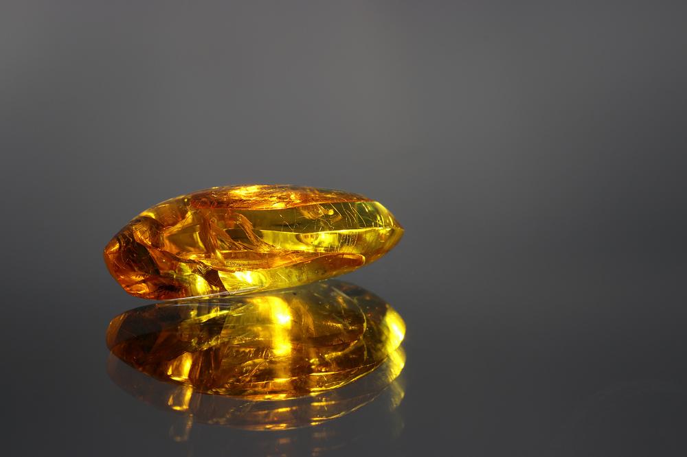 Discover Glowing Treasures at the Amber Museum