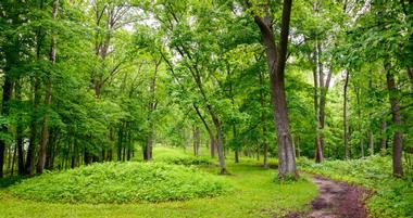 25 Iowa Parks