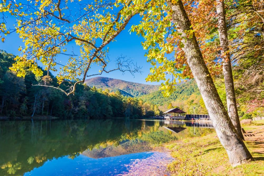 Hike, Camp, and Relax at Vogel State Park