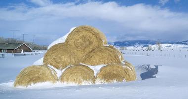 Jackson, Wyoming Elevation