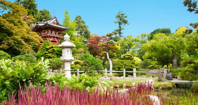 Things To Do In San Francisco Ca Japanese Tea Garden