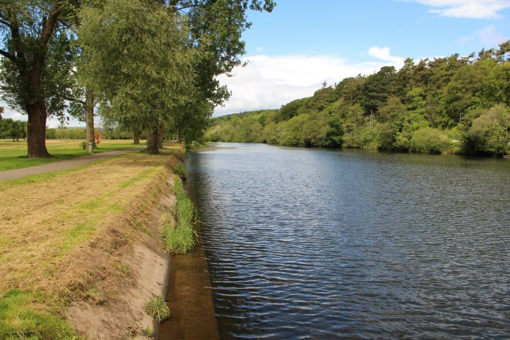 Unwind Amid Nature and Art at Fitzgerald Park
