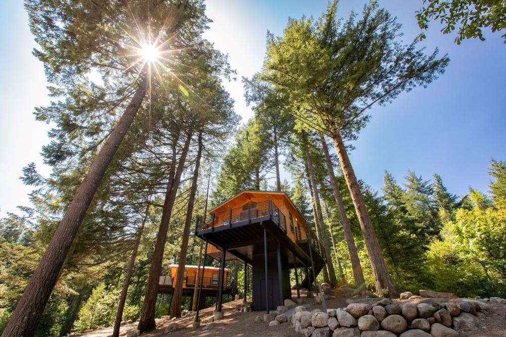 Go ziplining and explore forest trails on an exciting summer weekend.