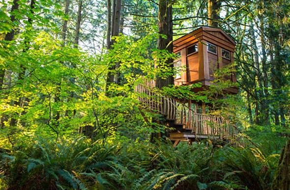 Sleep among treetops and savor nature’s stillness on an unusual getaway.