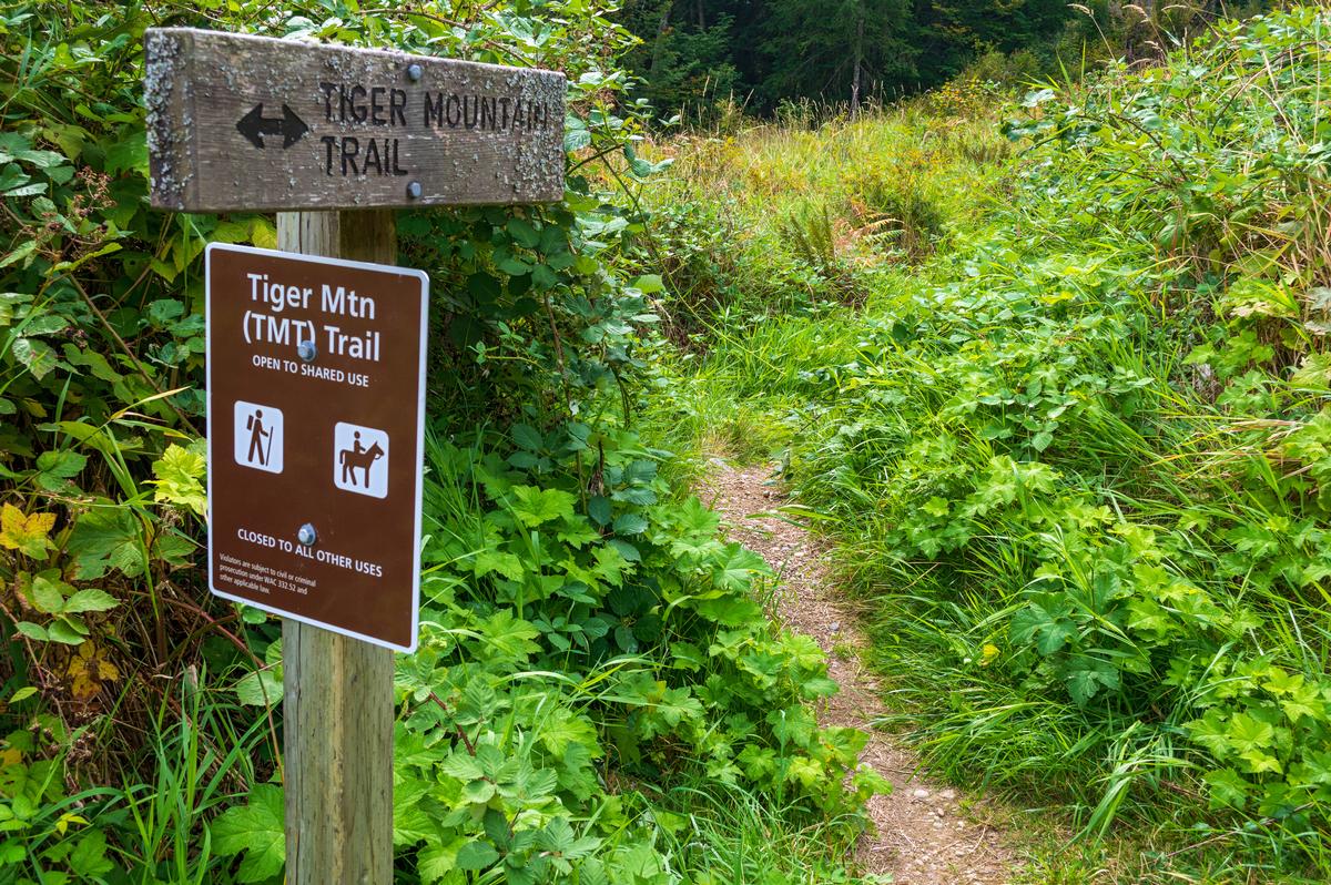 Tiger Mountain State Forest near TreeHouse Point