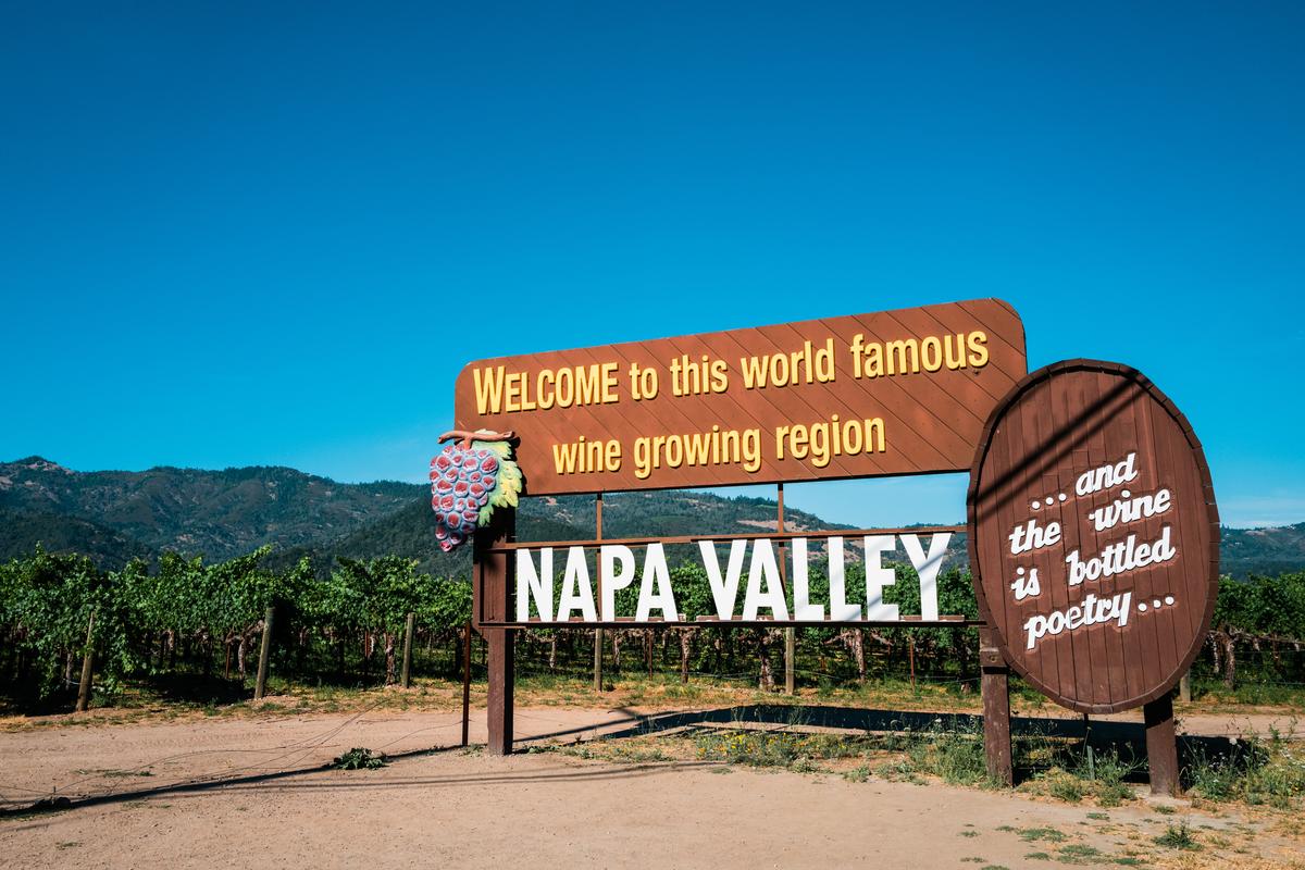 Golden Rows and Quiet Roads in Napa