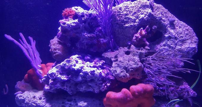 Key West Aquarium