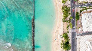 Waikiki Trolley Rides