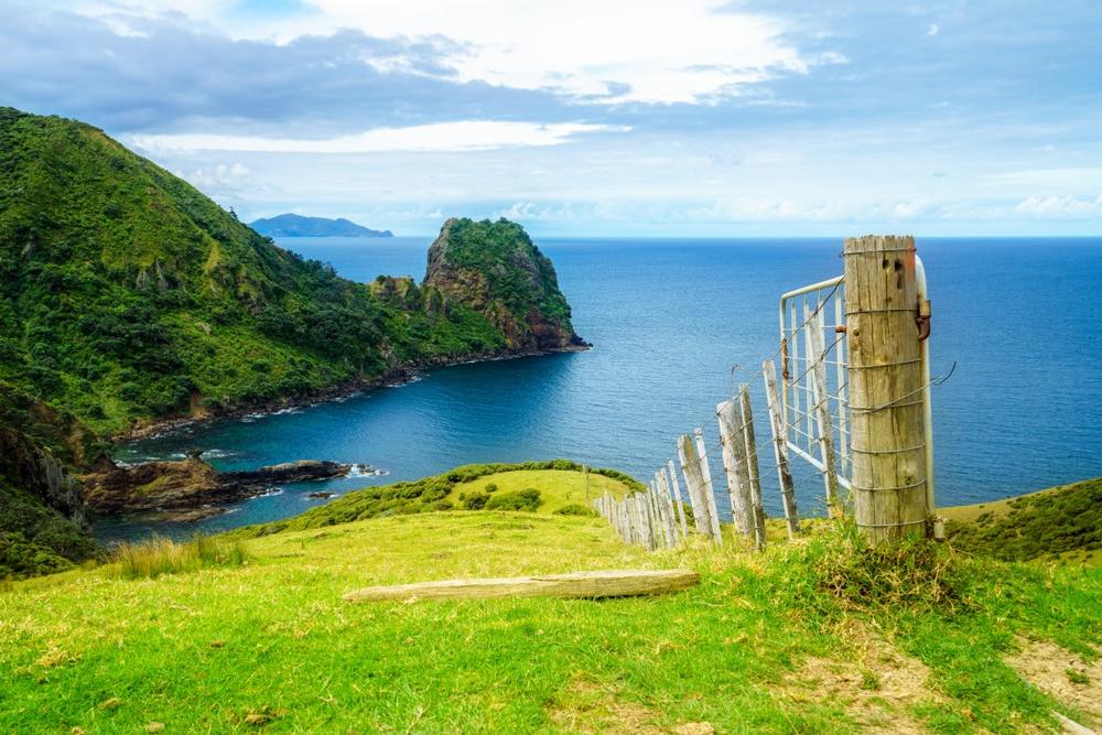 For a dash of adventure: Coromandel 2.5 hours
