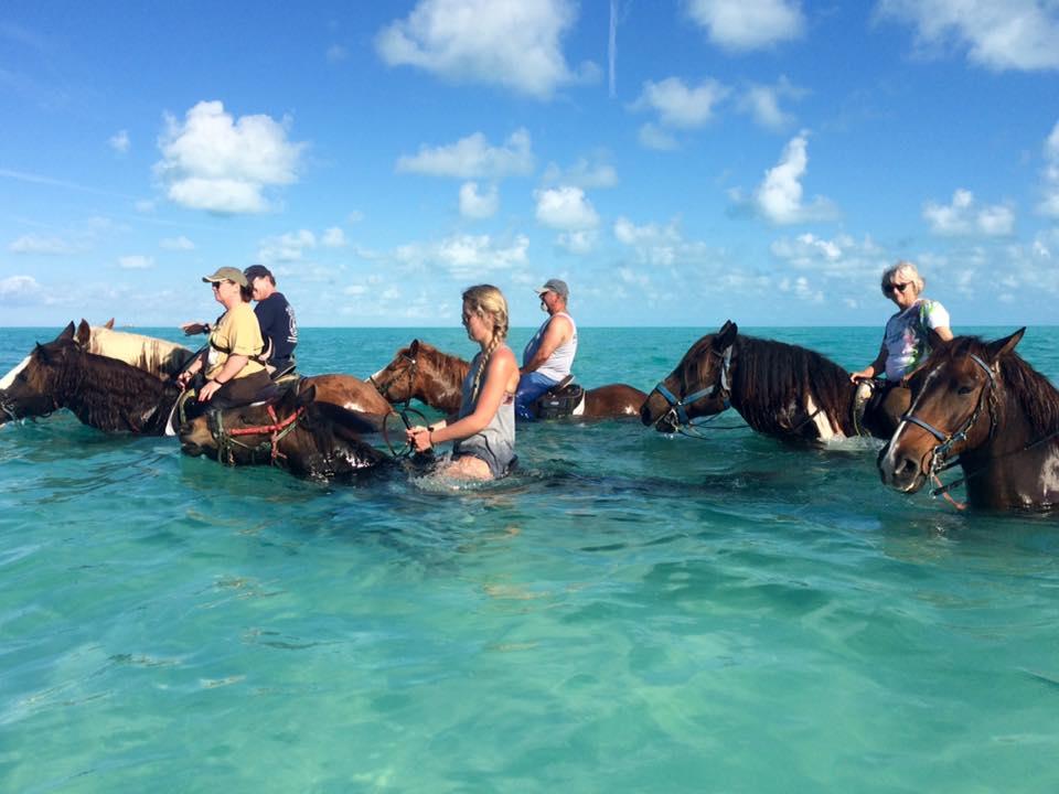 If You Dream of Horseback Riding Along the Beach, Saddle Up With Provo Ponies