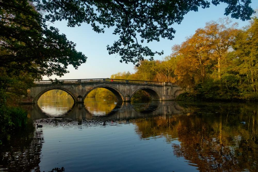 If You Crave Outdoor Adventures, Wander Through Clumber Park, Worksop