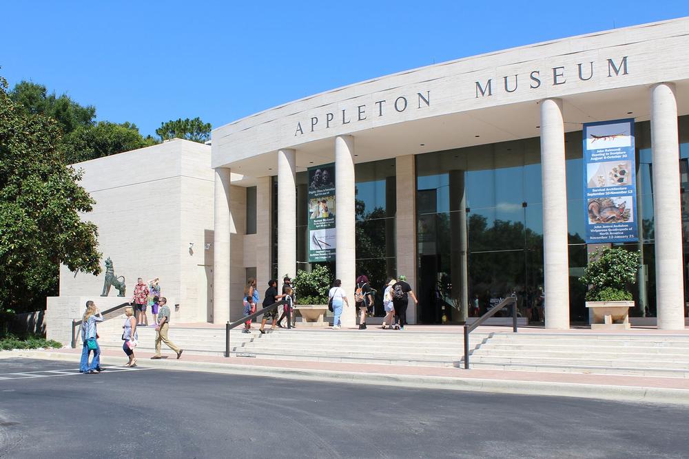 Discover Fine Art and Cultural Treasures at the Appleton Museum