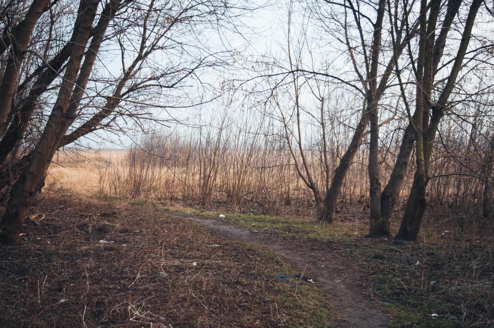 Bike or Walk Shady, Peaceful Paths at the Belleview-Santos Trail