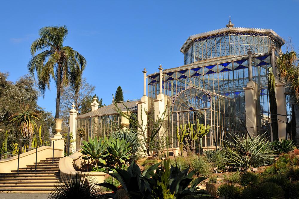 For Nature Fans: Adelaide Botanic Garden