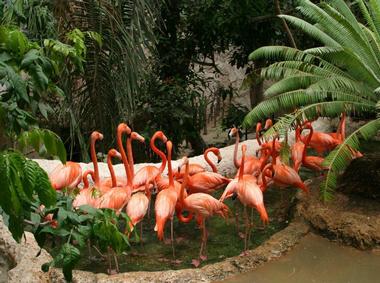 More Exhibits