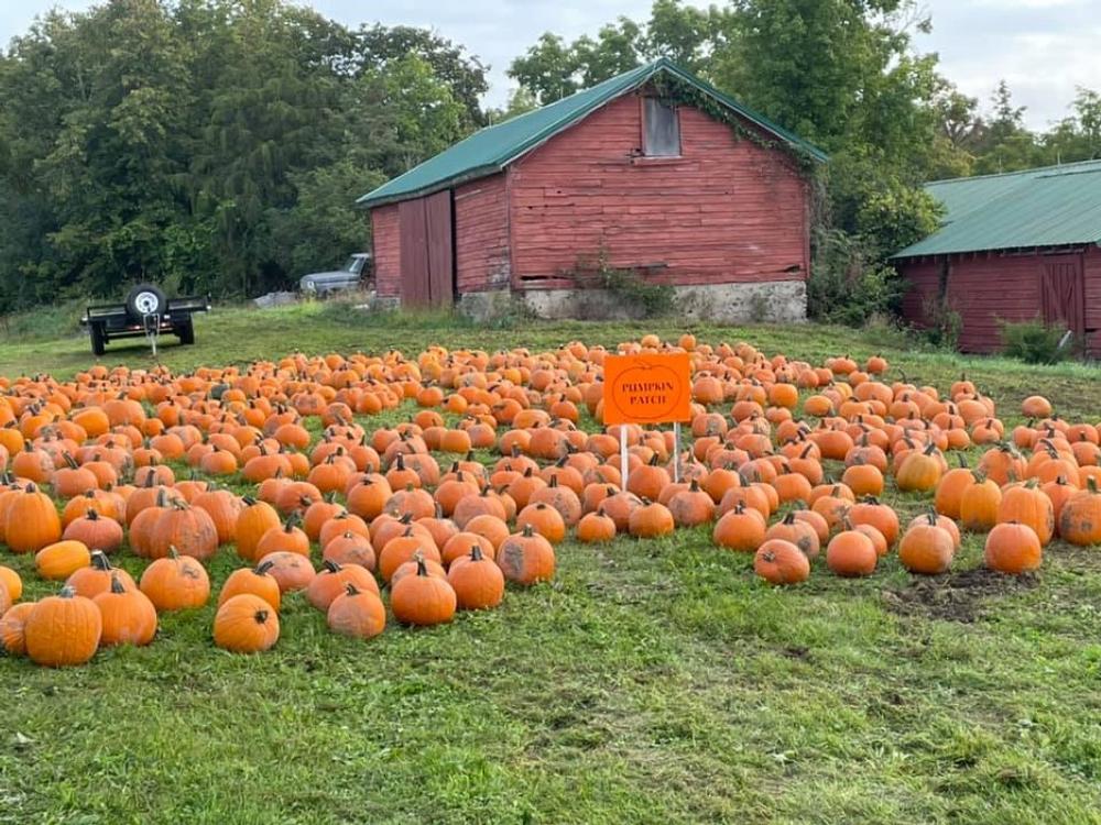 Boehm Farm