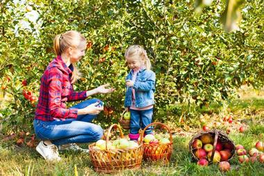 G and S Orchards | Apple Picking Spots Around Rochester NY