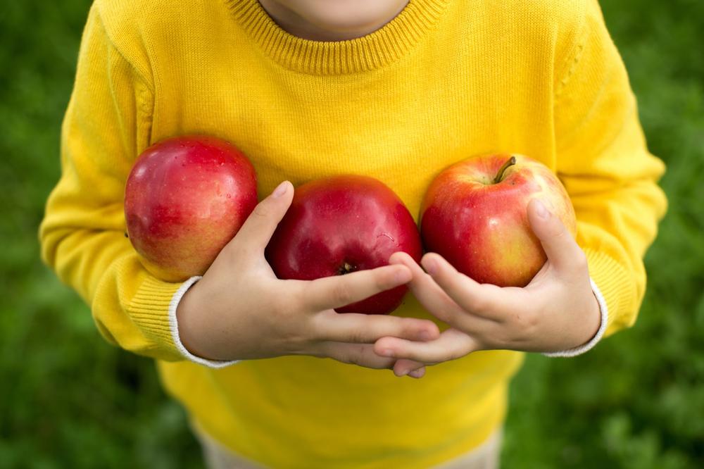 Step Into Colonial Times and Harvest Fresh Fruits at Riley’s Farm