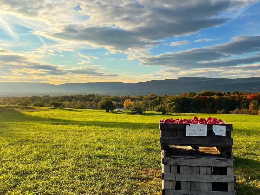 Apple Hill Farm