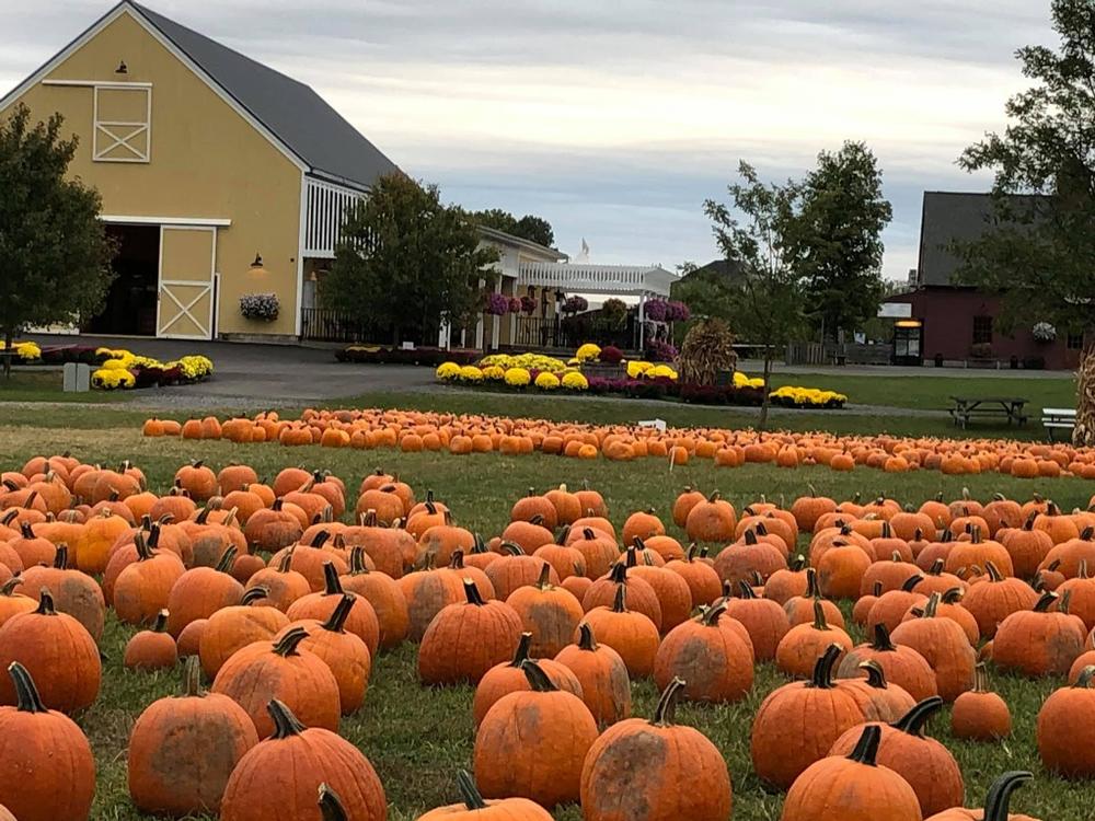 DuBois Farms