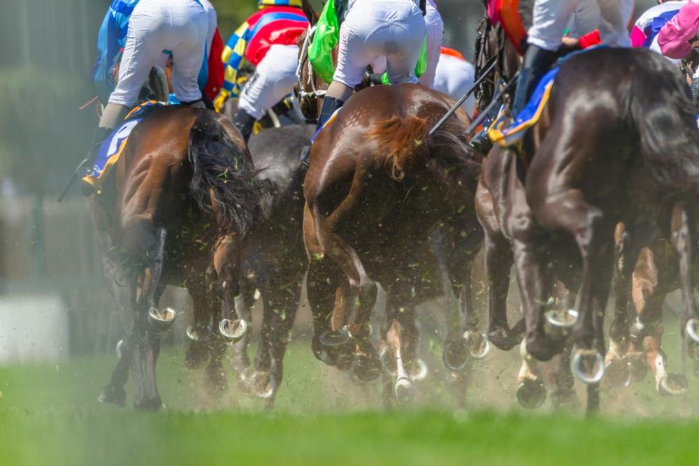 Hialeah Racetrack