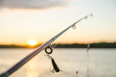 Naples-Fishing Charters