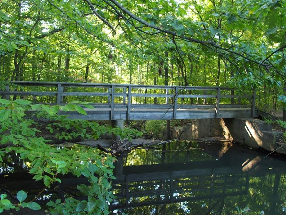 Explore forest trails or admire wildlife on a peaceful fall trip.
