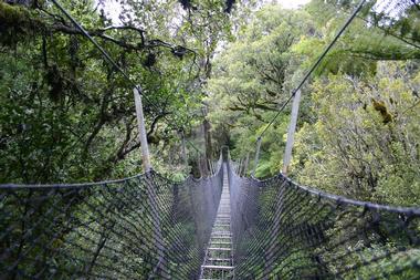 Rimutaka Forest Park