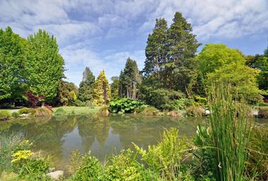 Wellington Botanic Garden