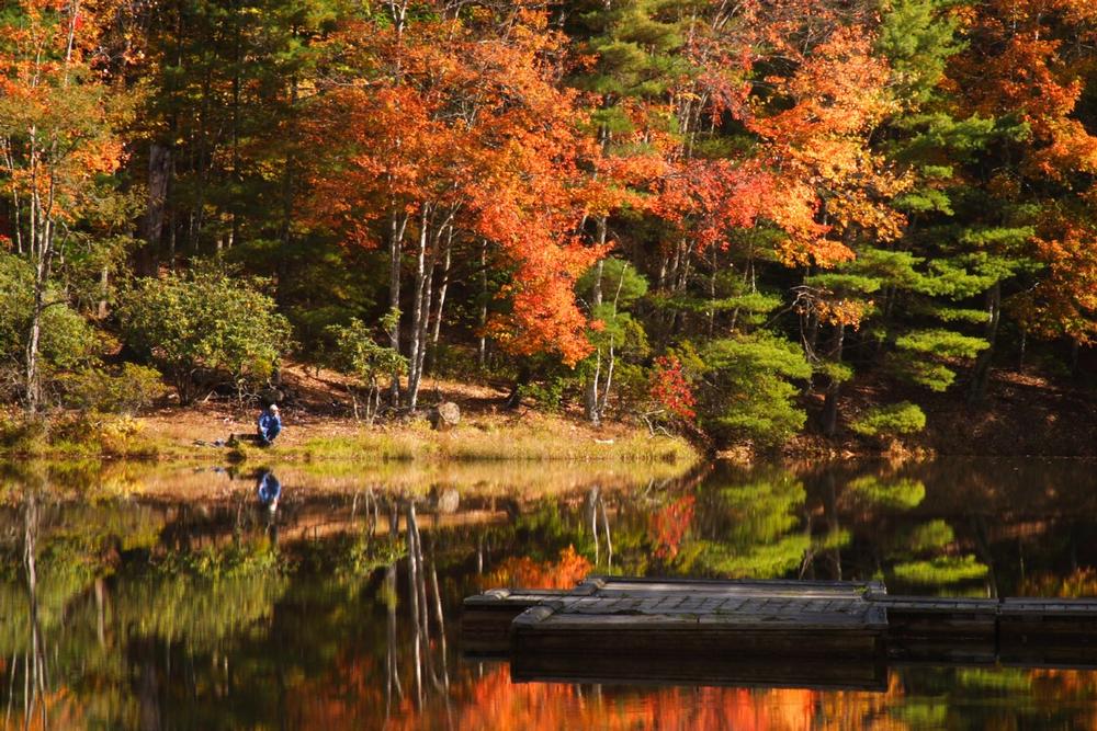 Camp and Hike Through Adventure at Watoga State Park