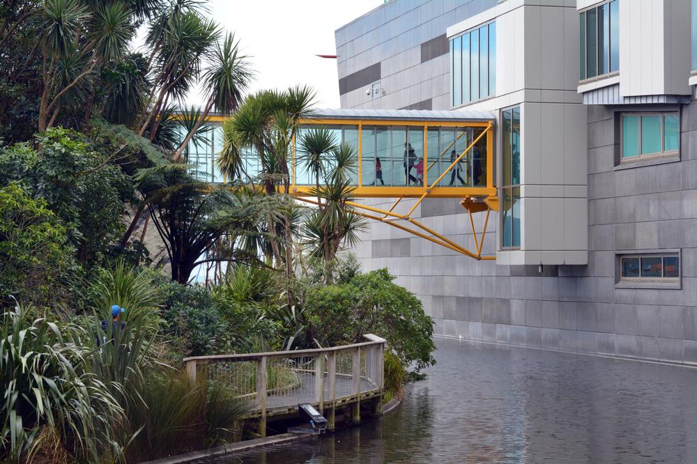 Museum of New Zealand Te Papa Tongarewa | What to See in Wellington, New Zealand