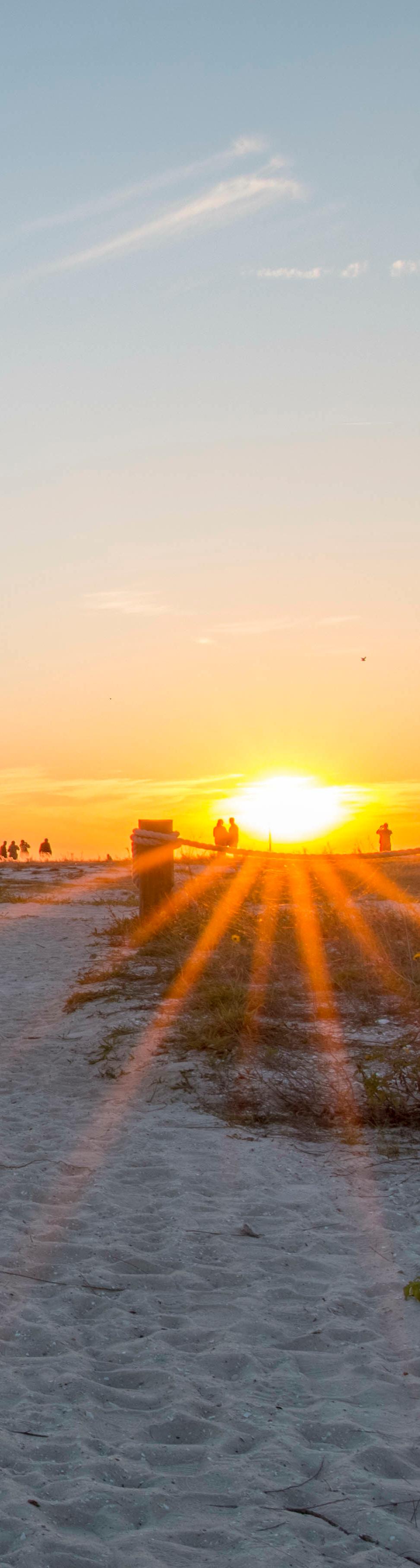 Conclusion: Gulf Days, Close to Home
