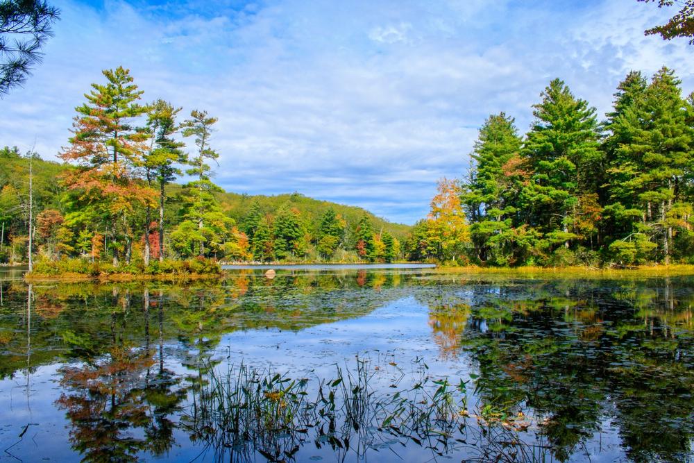 Bigelow Hollow State Park - 50-minute drive from Hartford