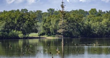 25 Louisiana Parks