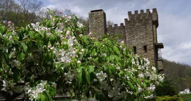 Loveland Castle and Museum