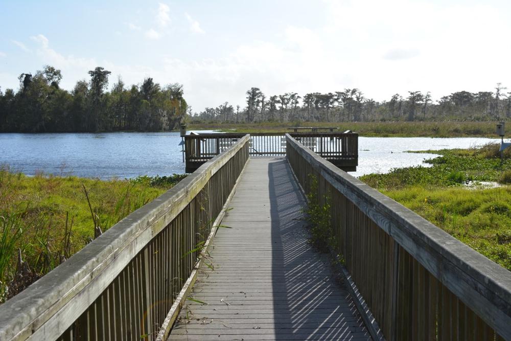 Spot Wildlife and Embrace the Outdoors at Mandalay National Wildlife Refuge