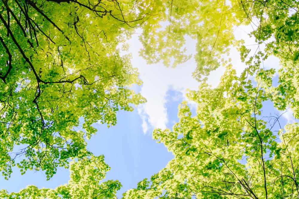 Discover Culture, Nature, and Flavor Across Terrebonne Parish