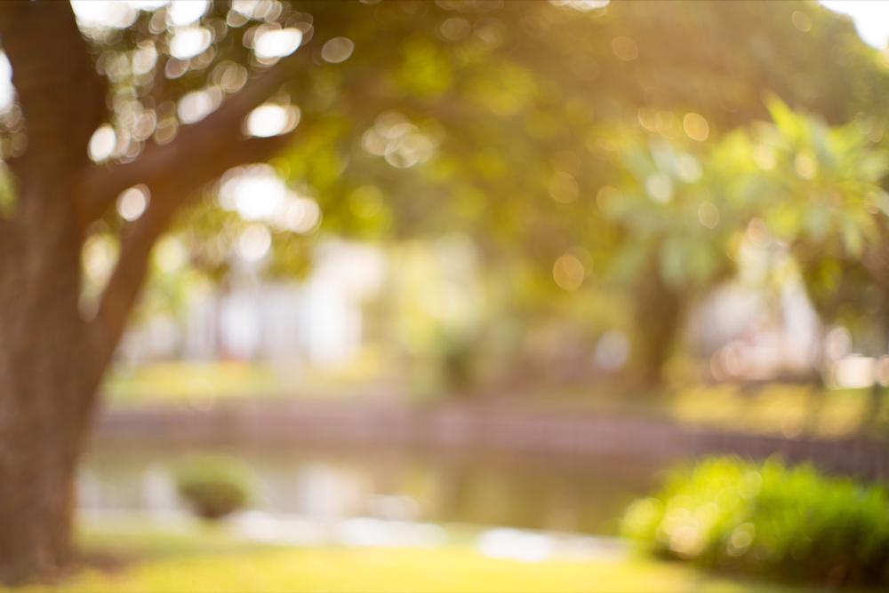 Stretch Out and Stroll at Harry Griffen Regional Park